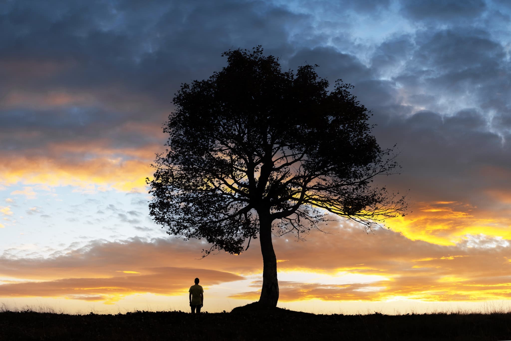 SỰ ĐƠN ĐỘC LÀ ĐÍCH ĐẾN CUỐI CÙNG